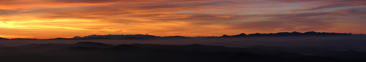 img00004.jpg