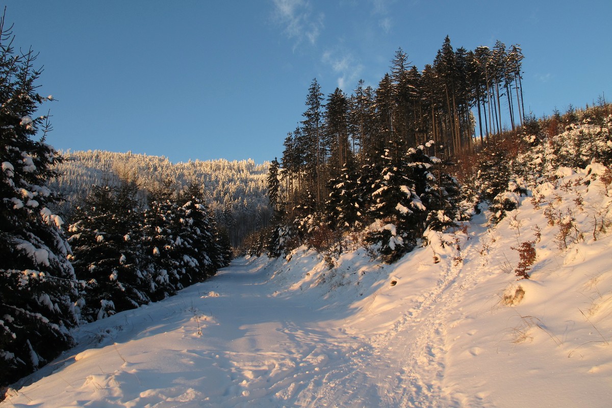 img00001.jpg