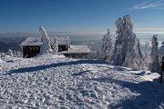 thn00030.jpg