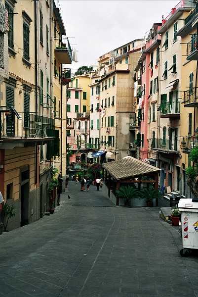 img00037.jpg