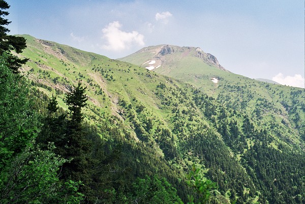 img00063.jpg