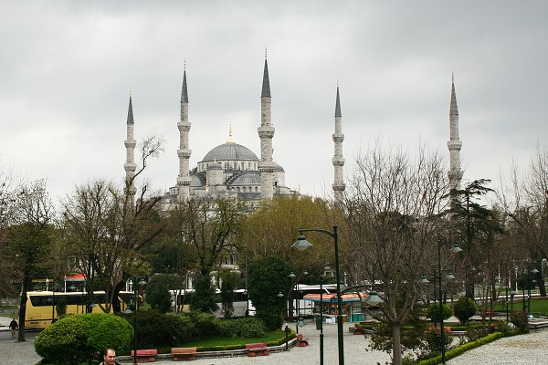 img00003.jpg
