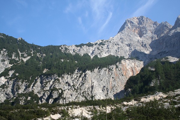 img00064.jpg