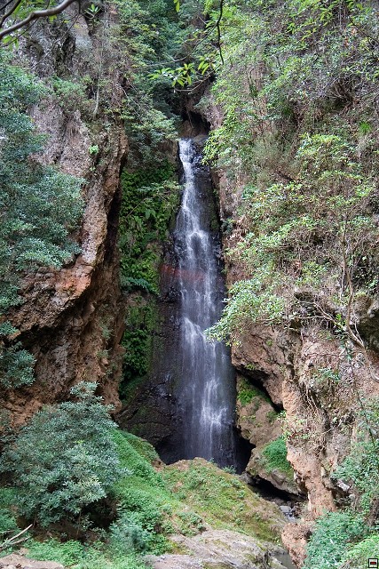 img00016.jpg