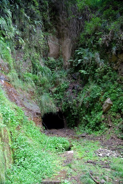 img00020.jpg