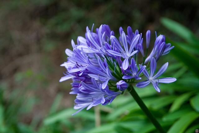 img00023.jpg