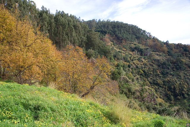 img00052.jpg