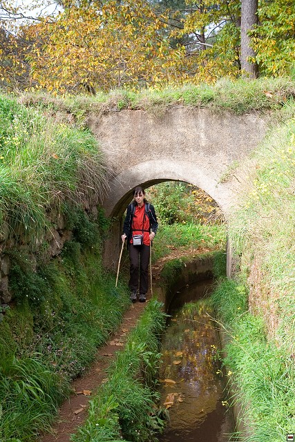 img00053.jpg