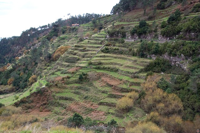 img00060.jpg