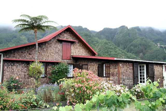 img00007.jpg