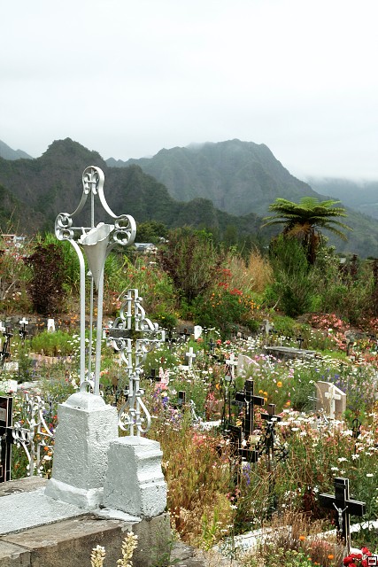 img00008.jpg