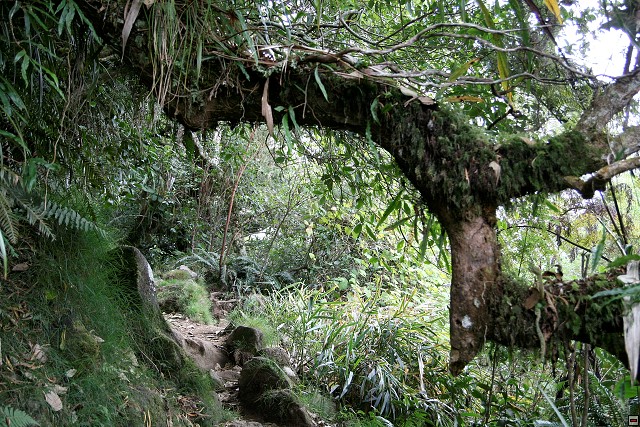 img00021.jpg