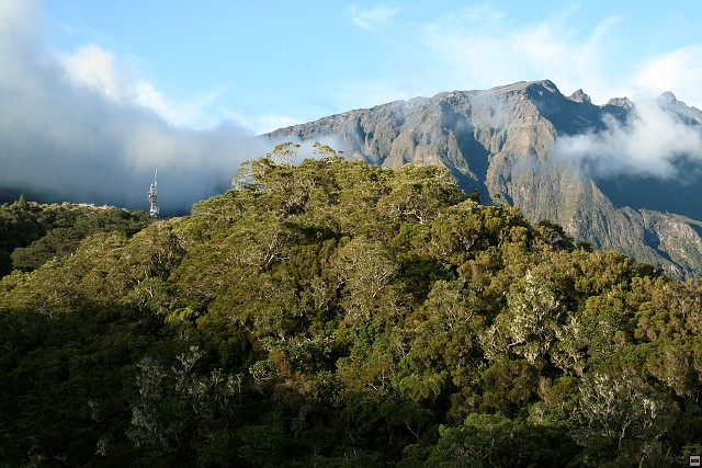 img00026.jpg