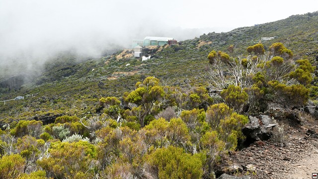 img00037.jpg