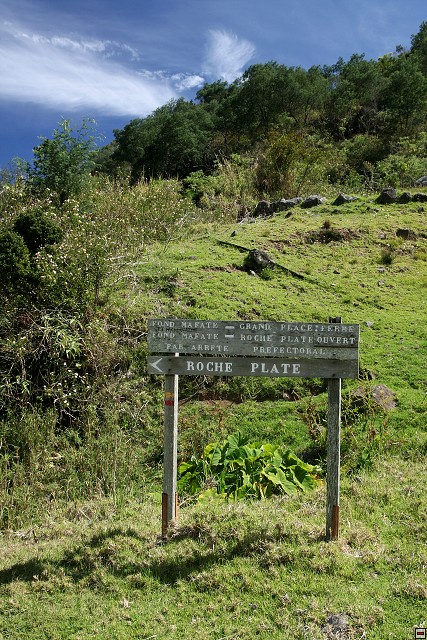 img00080.jpg