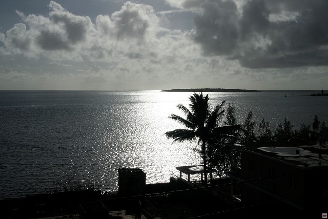 img00126.jpg