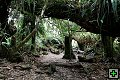 thn00024.jpg
