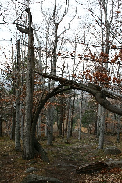 img00021.jpg