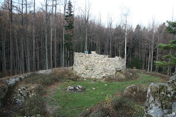 img00043.jpg