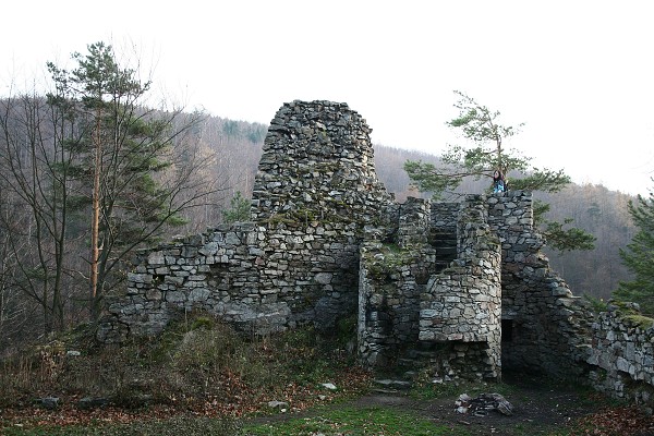 img00045.jpg