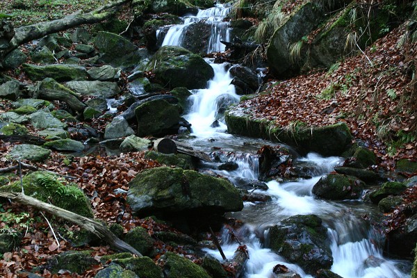 img00053.jpg
