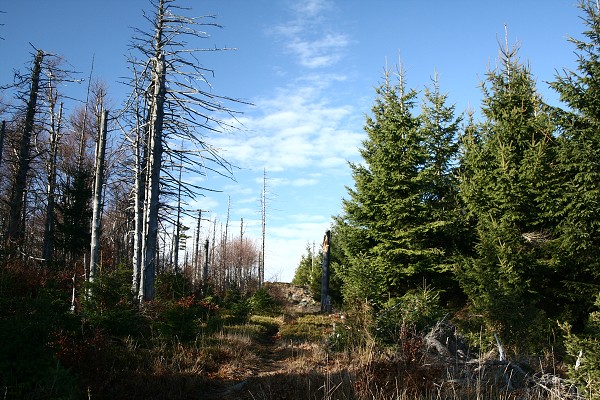 img00060.jpg